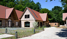 Beispiel Fachwerk
